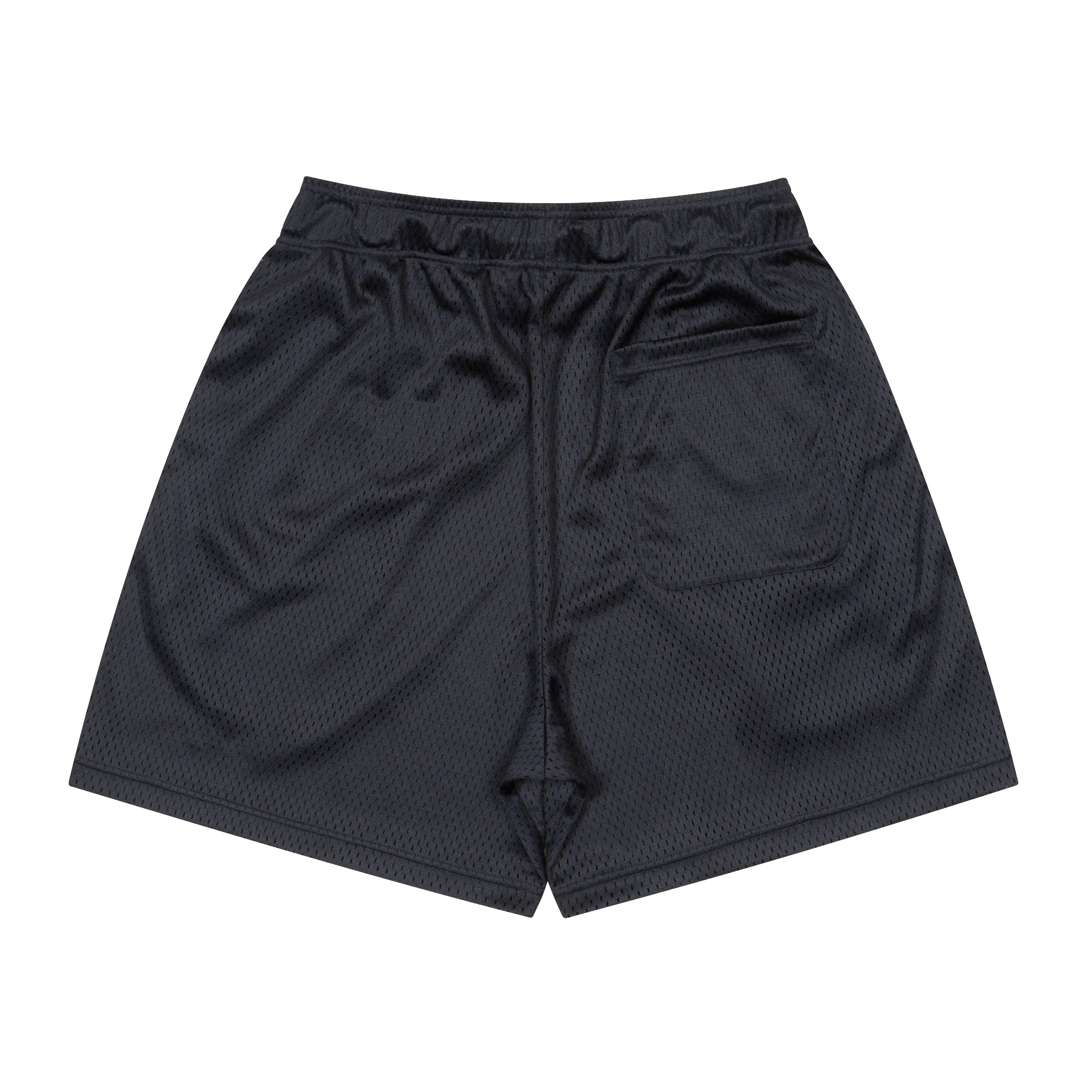 Logo Mesh Zip Shorts (navy)