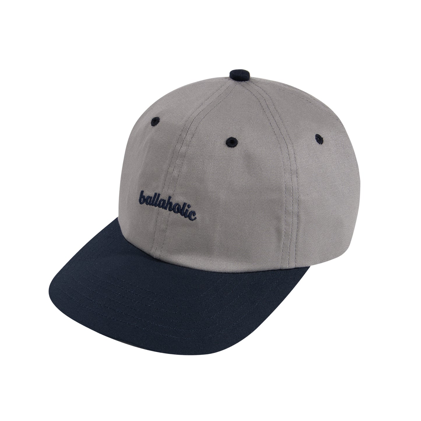 Logo 6P Cap (gray/navy)