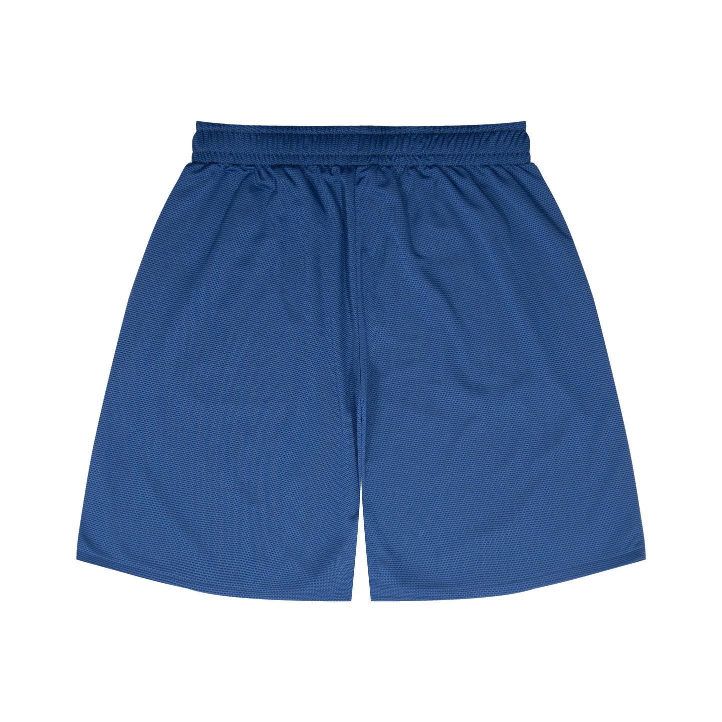 College Logo - STREETMOVE Mesh Zip Shorts (black/blue)
