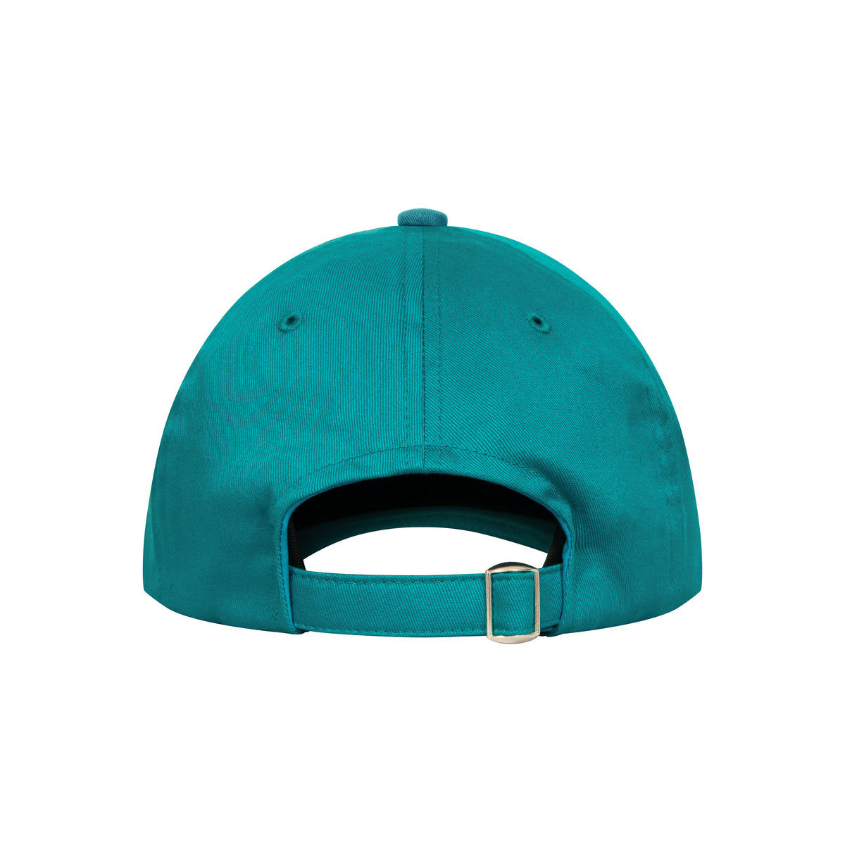 Logo 6P Cap (turquoise)
