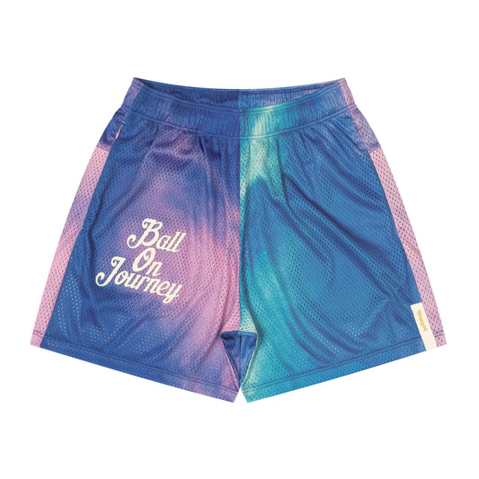 Ball On Journey Mesh Zip Shorts (multicolor)